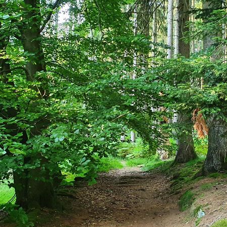 Odenwald-Lodge Mit Infrarotsauna Und E-Ladestation Im Naturpark Odenwald "Haus Himmelblau" Reichelsheim Buitenkant foto