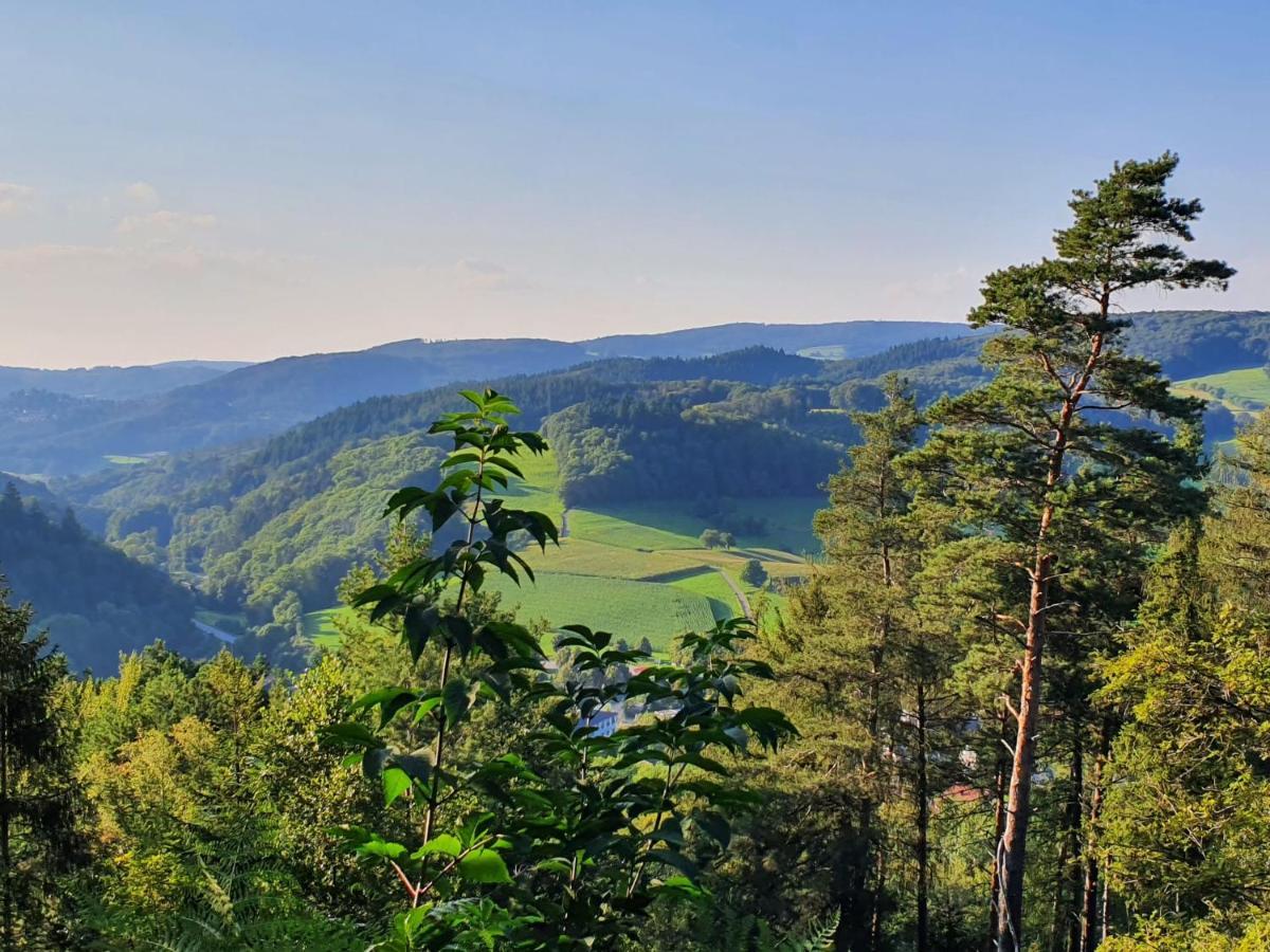 Odenwald-Lodge Mit Infrarotsauna Und E-Ladestation Im Naturpark Odenwald "Haus Himmelblau" Reichelsheim Buitenkant foto