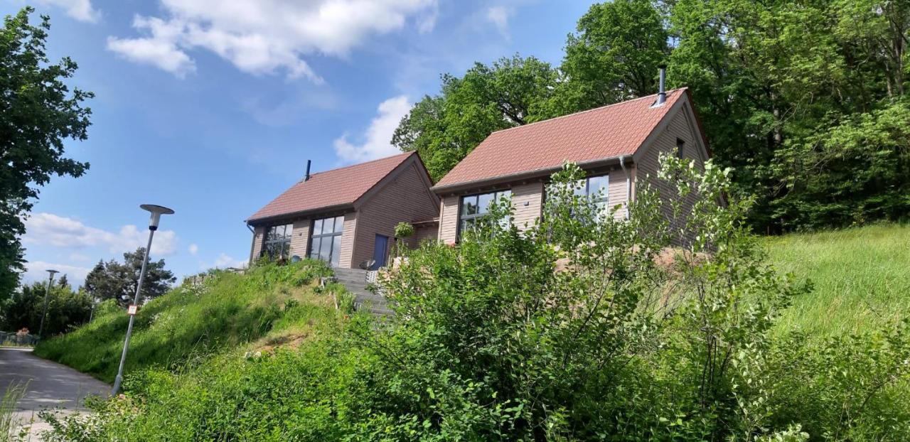 Odenwald-Lodge Mit Infrarotsauna Und E-Ladestation Im Naturpark Odenwald "Haus Himmelblau" Reichelsheim Buitenkant foto