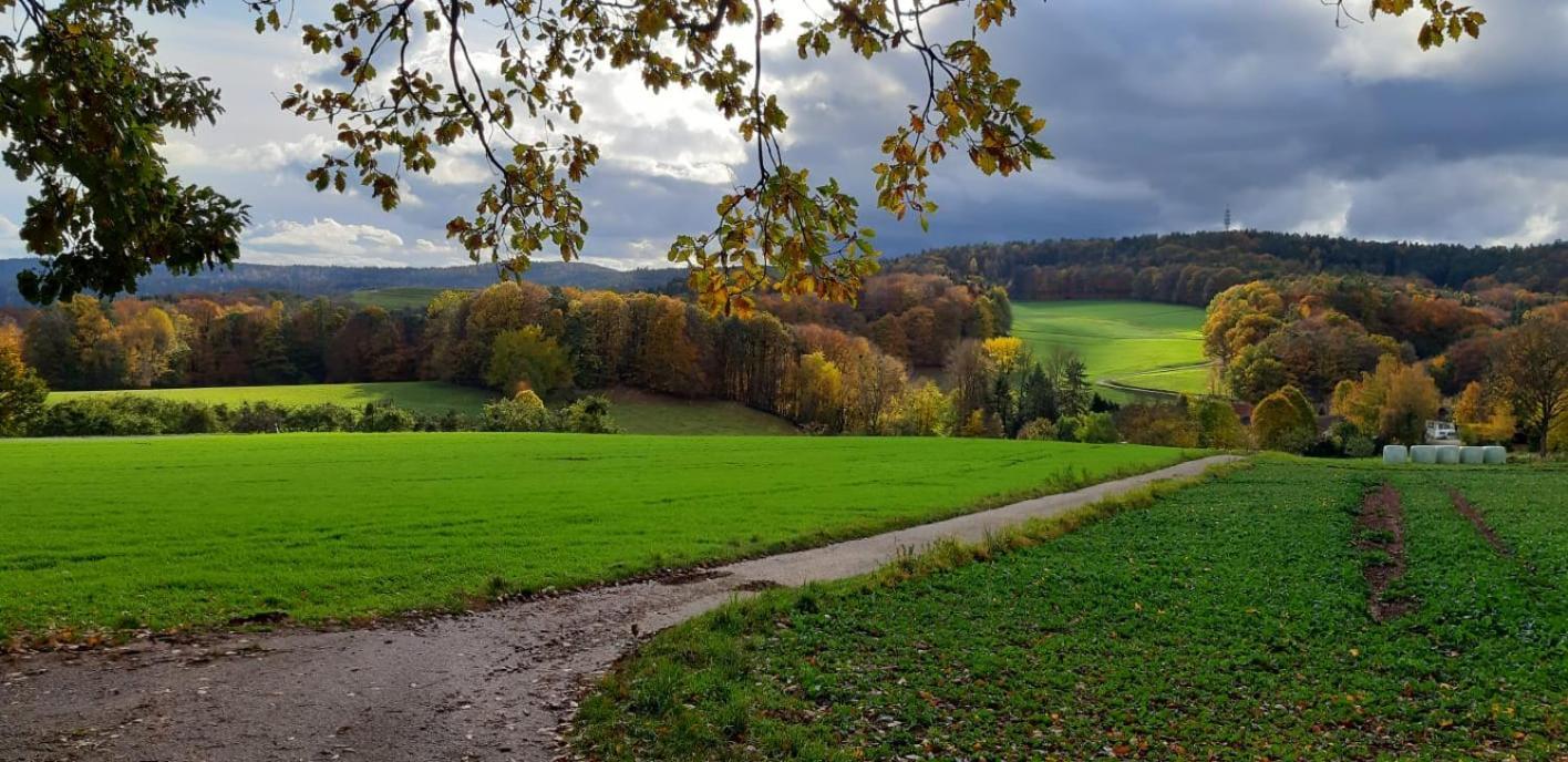 Odenwald-Lodge Mit Infrarotsauna Und E-Ladestation Im Naturpark Odenwald "Haus Himmelblau" Reichelsheim Buitenkant foto